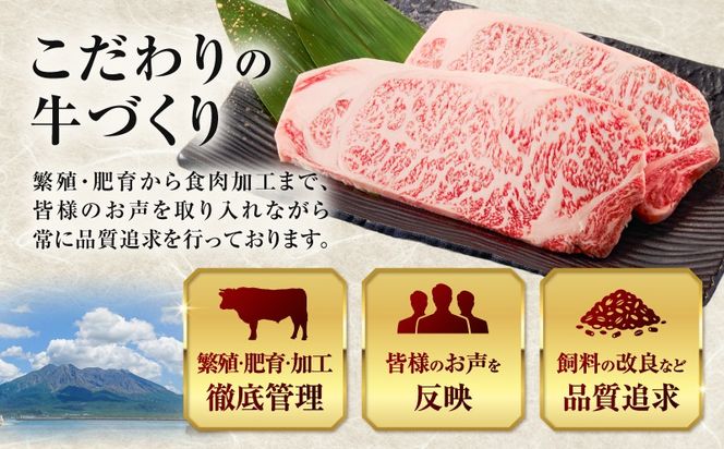 北さつま牛 サーロインブロック　K137-007