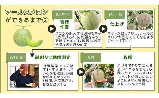 完熟 アールスメロン 3玉 2026年産 先行予約 メロン マスクメロン 青肉 果物 フルーツ 茨城県産 期間限定 数量限定 [AF004ci]