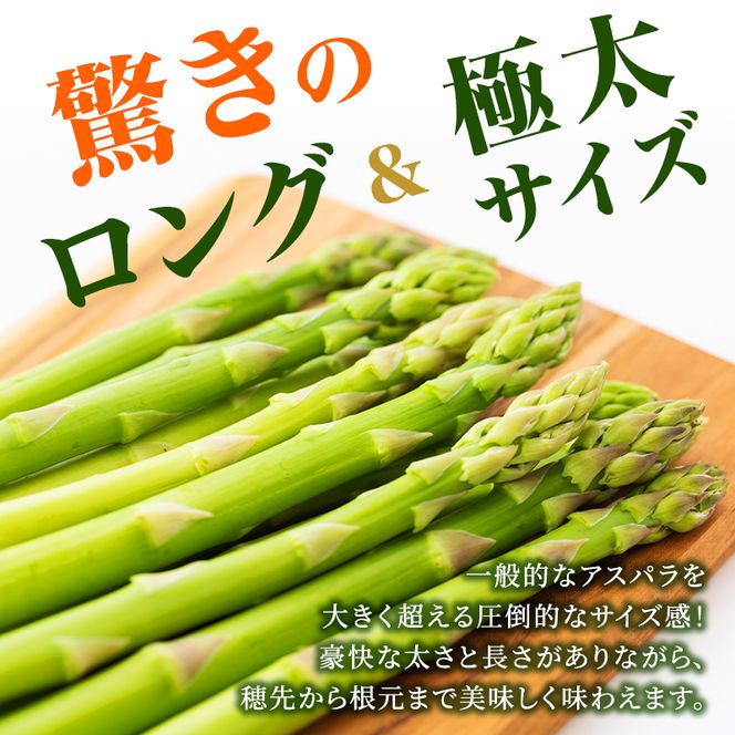 香川讃岐の毎月食べたい定期「2027年新物！さぬきのめざめ 1kg（2L～３L）」3ヶ月定期便