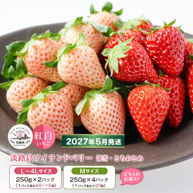 淡路島アイランドベリー　紅白いちご　淡雪/とちおとめ   2～4パック入  【2027年5月発送予約受付・お届け日指定不可】　いちご