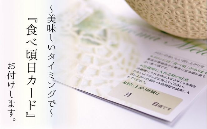 【通年出荷】アローマメロン 白等級(中玉) 1玉入 222232_DP007