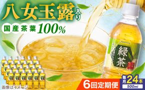 【全6回定期便】八女 玉露入り 緑茶 500ml × 24本 糸島市 / スターナイン お茶 ペットボトル [ARM016] お茶 ペットボトル 500ml 24本 送料無料 緑茶 国産 常温