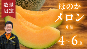 【先行予約 2026年5月下旬以降発送開始】 ほのかメロン 秀品（ 赤肉 ） 4玉 ～ 6玉 (2L～3L) メロン 果物 フルーツ 甘い 茨城県 茨城県産 期間限定 数量限定 産地直送 農家直送 [AV001ya]