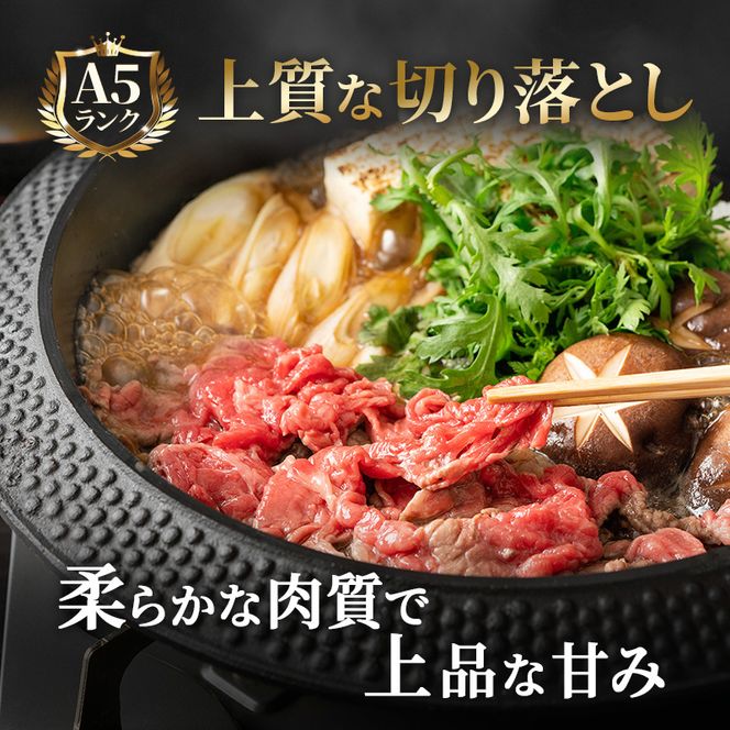 飛騨牛切り落とし　600ｇ(300g×2) 牛肉 お肉 国産 黒毛和種 柔らかい とろける くちどけが良い 霜降り 細かいサシ 食材 食卓 グルメ 