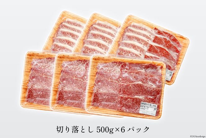 牛肉 宮崎県産 和牛 切り落とし 3kg 500g×6p [日本ハムマーケティング 宮崎県 日向市 452060786] 冷凍 小分け 個包装 牛 すき焼き もも肉 モモ肉 牛バラ 牛肩