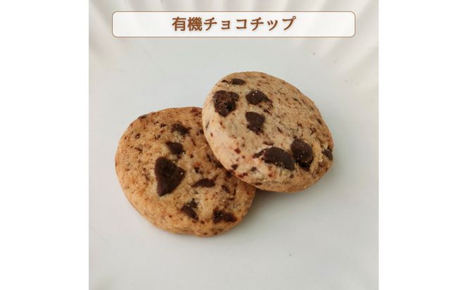 【グルテンフリー】家族みんなで楽しめる 米粉クッキー缶 250g以上 たっぷり詰め合わせ 272183_DH004