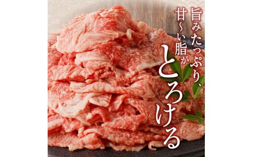 宮崎牛小間切れ900g(450g×2ﾊﾟｯｸ) N061-YB334