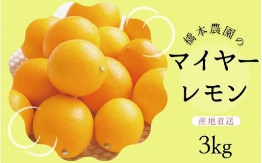 [先行予約]橋本農園のマイヤーレモン 3kg[2026年12月中旬から2027年1月中旬までに順次発送] / レモン マイヤーレモン 檸檬 先行予約[mht005A]