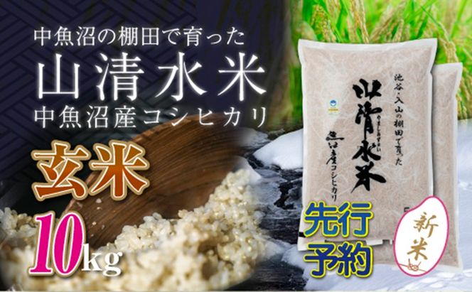 【令和8年産 先行予約】新潟県魚沼産コシヒカリ「山清水米」玄米10kg