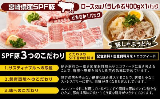 「宮崎SPF豚 」日替わりバラエティ3.2kgセット_K9-003 