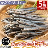 鹿児島県阿久根市産生干し「かたくちいわし」(計5袋・1袋40g)国産 魚介 干物 イワシ 鰯 がらんつ干物【マルフク川畑水産】akn029-08