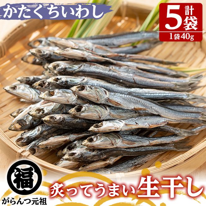 鹿児島県阿久根市産生干し「かたくちいわし」(計5袋・1袋40g)国産 魚介 干物 イワシ 鰯 がらんつ干物【マルフク川畑水産】akn029-08
