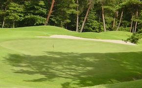 パインツリーゴルフクラブ 1組土日祝日プレー無料優待券（昼食付） ゴルフ場 利用券 優待チケット 丘陵 林間 コース 松林 自然 戦略的 スポーツ 趣味 ビジネス 社会人 