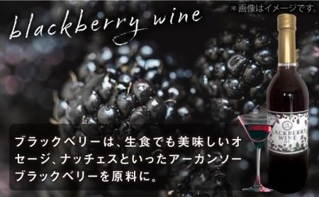 糸島産 ブルーベリー ＆ ブラックベリー ワイン 720ml×2種 セット 糸島市 / HYM FARM [AHM001] ワイン ギフト ブルーベリー お酒 贈り物 記念日 贈答