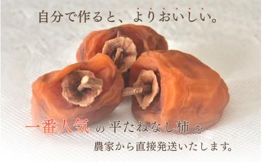甘さが違う！とっても甘くなる生渋柿（平たねなし柿）吊るし柿用 T字枝or吊るしクリップ付 約2.5～3kg 約9～18個 １０月下旬～順次発送-Ted(日付指定不可) 【art040】