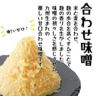 B1-47 昭和の町合わせ味噌2㎏