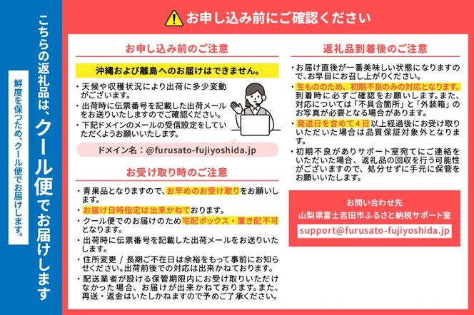 【2025年発送】【数量限定】【期間限定】山梨県産 紅秀峰 さくらんぼ 【選べる容量】 500g / 1kg バラ詰め 　フルーツ 山梨県産 数量限定 期間限定 さくらんぼ 果物 産地直送 山梨 富士吉田 フルーツ 富士吉田市