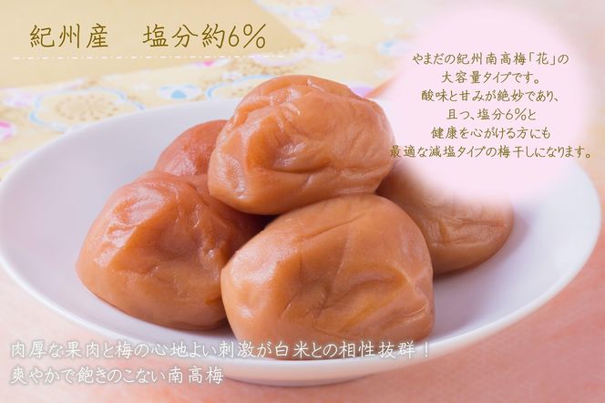 【定期便・2ヵ月毎 全5回】ご家庭用 紀州南高梅 うす塩 つぶれ 700g×2 ［YM15］ 303446_DX90031