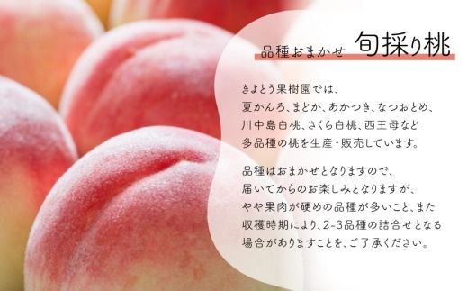 旬の桃の食べ比べを楽しむ、桃の２回便！(定期便) (岡山県産) きよとうファーム 【2026年先行予約】【KF-T025-01】