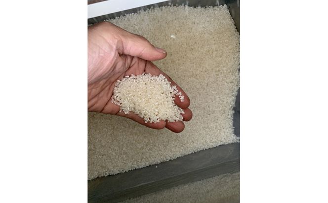 1261.＜令和７年産＞ たかた農園のお米「きぬむすめ」はでかけ　天日干し【精米10kg】 313726_CR001