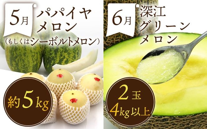 【12回コース】＜2026年1月～初回発送＞果物屋が選ぶ旬のフルーツ定期便 いちご メロン びわ みかん 梨 柿 など / 南島原市 / 贅沢宝庫 [SDZ023]