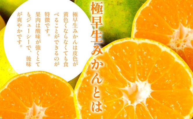 【先行予約】浅野農園の極早生みかん 訳あり計10kg ※着日指定不可 ※離島への配送不可（2026年10月上旬～11月中旬頃に順次発送）IKTAC001