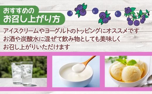 北海道 豊浦町 ブルーベリーシャーベット 20本 【 ふるさと納税 人気 おすすめ ランキング 果物 ブルーベリー 国産ブルーベリー ブルーベリーシャーベット 大容量 おいしい 美味しい 甘い 北海道 豊浦町 送料無料 】TYUN012