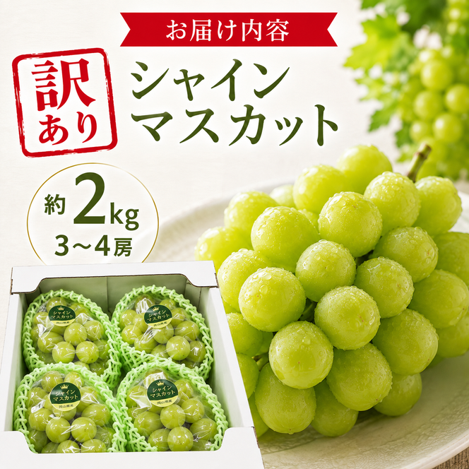 訳あり シャインマスカット 約2kg 3～4房 高梁市産 2027年 先行予約 ぶどう 化粧箱 葡萄 ブドウ うめづぶどう園
