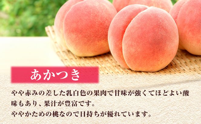【 2027年 先行予約】 桃 岡山県産 あかつき 約1.2kg(4～5玉) 《2027年7月上旬-中旬頃出荷》 白桃 岡山 はくとう スイーツ フルーツ 果物 先行予約 数量限定 期間限定 岡山 里庄町 モモ もも 桃