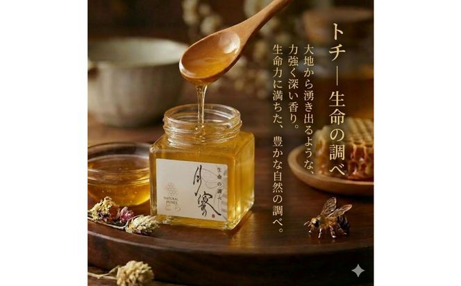 948.鳥取の花の香りを食卓へ。天然はちみつ3瓶セット（百花蜜、アカシア、トチ）67g×各1瓶（計3瓶） 蜂蜜 ハチミツ ハチ蜜 鳥取県産◇日本全国配送可能 313726_BW001