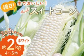 BJ453【令和9年度出荷分】 とうもろこし スイートコーン ホワイト 2L〜3Lサイズ 4本〜5本 約2kg [ トウモロコシ コーン ホワイトコーン 野菜 2キロ さかいさんち SAKAI FARM 長崎県 島原市 ] 