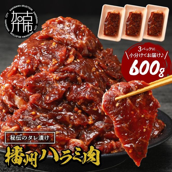 yɌÐszdBň`̏ē^Ђ dBn~ 600g(200g×3pbN)s  ē 炩 n~ ēZbg o[xL[  BBQ ty2400A00424z
