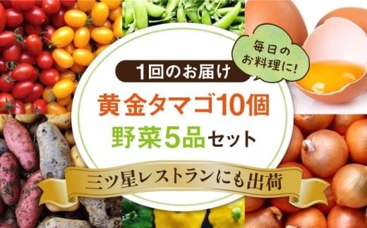 【全3回定期便】糸島の朝産み黄金タマゴ10個 朝どれ新鮮野菜5品 セット【福岡県糸島産】 糸島市 / オーガニックナガミツファーム 玉子 やさい 	[AGE047]