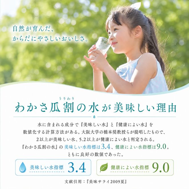 おいしい水 500ml 24本 瓜割名水 名水百選選抜総選挙おいしさ部門2位 ミネラルウォーター 美味しい水 水 ナチュラルミネラルウォーター 天然水 みず ペットボトル 2リットル 飲み物 飲料 飲料水 福井 福井県 若狭町