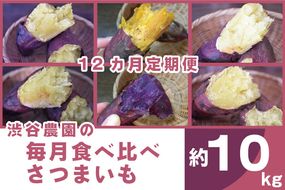 【12ヶ月定期便】渋谷農園の毎月食べ比べさつまいも 約10kg｜さつまいも サツマイモ さつま芋 お芋 食べ比べ 定期便 毎月 紅はるか きみまろこ シルクスイート 栗かぐや 渋谷農園 さつまいも博 茨城県産 茨城県 行方市(BZ-22)