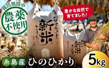 【 令和6年産新米】糸島産 雷山 のふもと 栽培期間中 農薬 不使用の米 5kg ひのひかり  【2024年10月下旬以降順次発送】ヒノヒカリ 糸島市 /ツバサファーム [ANI001]