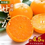 【2027年先行予約】一度は食べていただきたい 有田産のせとか 4～5kg（サイズおまかせ）_ZD7002