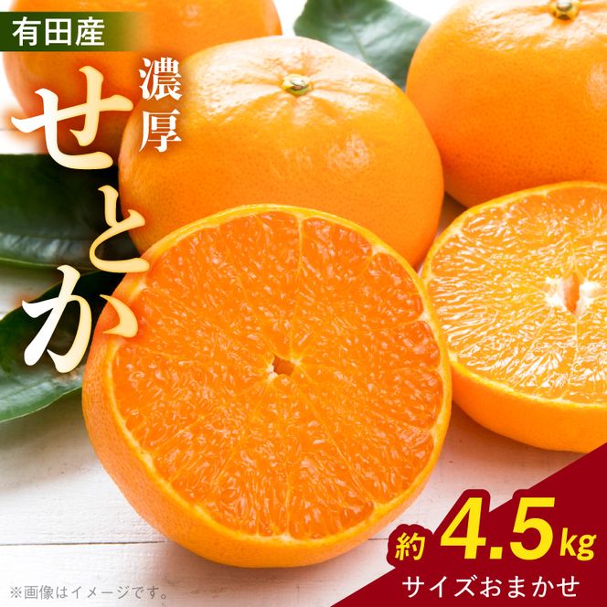 【2027年先行予約】一度は食べていただきたい 有田産のせとか 4～5kg（サイズおまかせ）_ZD7002