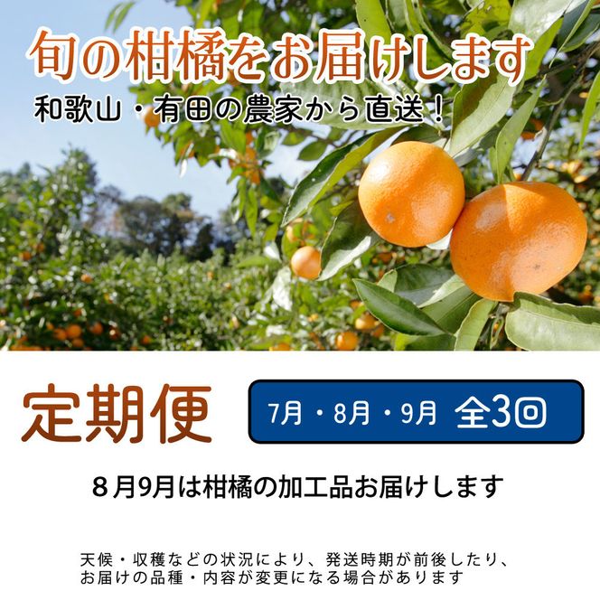 家庭用 柑橘定期便M（7～9月）全3回 ［IKE312］ 303446_BB90221