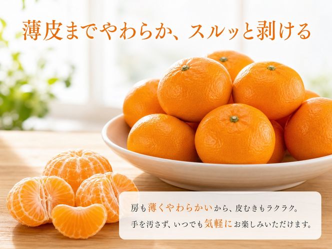 赤秀品 紀州和歌山ハウスみかん 2.5kg［2027年6月末頃～2027年7月中旬頃に順次発送］［UT87］ 303446_XF045
