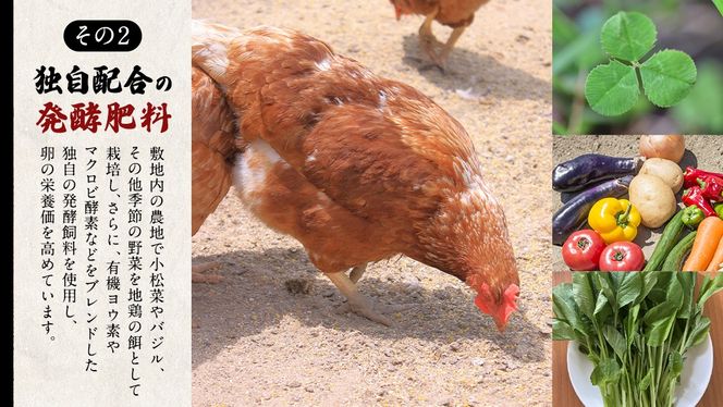 【3ヵ月 連続 定期便】王様の卵 ヨード入 20個 計60個 平飼い 地鶏 有精卵 濃厚 卵 こだわり卵 たまご 頒布会 定期 [AU005us]