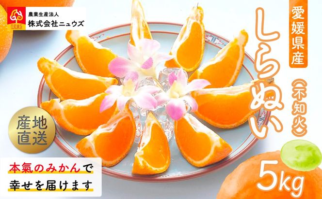 【先行予約】産地直送！愛媛県産しらぬい（不知火） 5kg（2027年2月中旬より順次発送） IKTF017