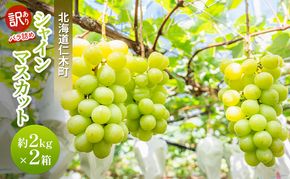[先行受付] 訳あり 北海道 仁木町  シャインマスカット 約2kg×2箱 ブドウ 葡萄 マスカット 果物 くだもの フルーツ [嶋田茂農園匠]
