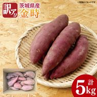 【先行予約】【10月中旬以降より順次発送】訳アリ 茨城県産金時 約5kg｜さつまいも 芋 サツマイモ 金時 訳あり わけあり 茨城県 取手市（AS010-1）