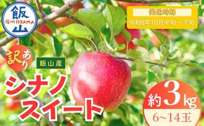 【先行予約丨2026年10月中旬より順次発送】訳あり シナノスイート【約3kg(6〜14玉)】(At-020)丨長野県 飯山市 おすすめ ランキング おいしい 高評価 大人気 先取り 産地直送 りんご 訳あり 規格外
