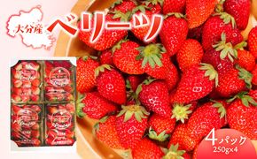 【C07010】【先行予約※2026年2月下旬より発送開始】大分県ブランドいちご「ベリーツ」約250g×4パック