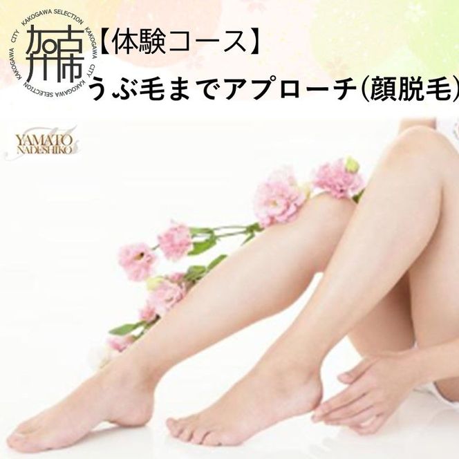 【体験コース】うぶ毛までアプローチ(顔脱毛)《 美容 脱毛 顔 うぶ毛 体験 女性 ご褒美 贅沢 息抜き 》【2500L11803】