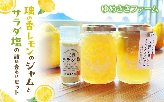 璃の香レモンのジャムとサラダ塩の詰め合わせセット レモン ジャム 塩 詰め合わせ セット 岡山 玉野市