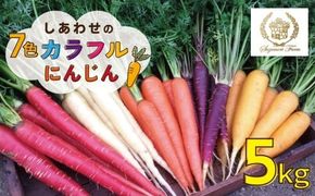 【期間限定】 冬の寒さでぎゅっと濃い！虹色のカラフルにんじん 鈴盛農園 農家直送 甘い スーパーフード 健康 自慢 ジュース サラダ ギフト 贈り物 βカロテン ポリフェノール リコピン ジューシー H022-012
