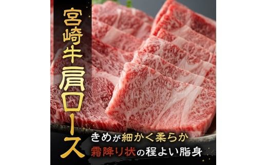 ※発送時期が選べる※宮崎牛霜降り焼肉 700g (350g×2) 【 肉 牛肉 国産 宮崎県産 宮崎牛 黒毛和牛 和牛 焼肉 BBQ 4等級  A4ランク 肩ロース 】 [E11122]
